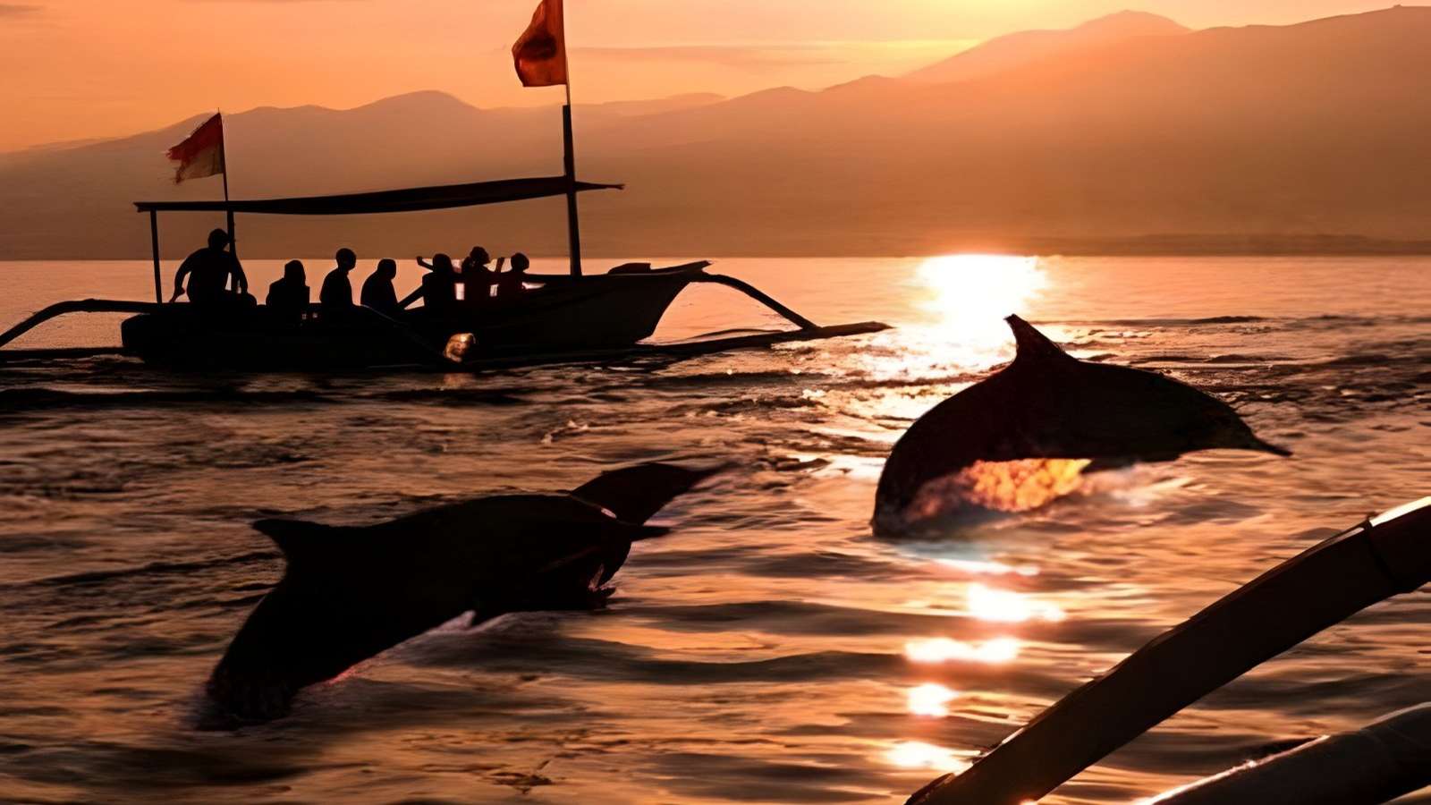 LOVINA DOLPHIN TOUR